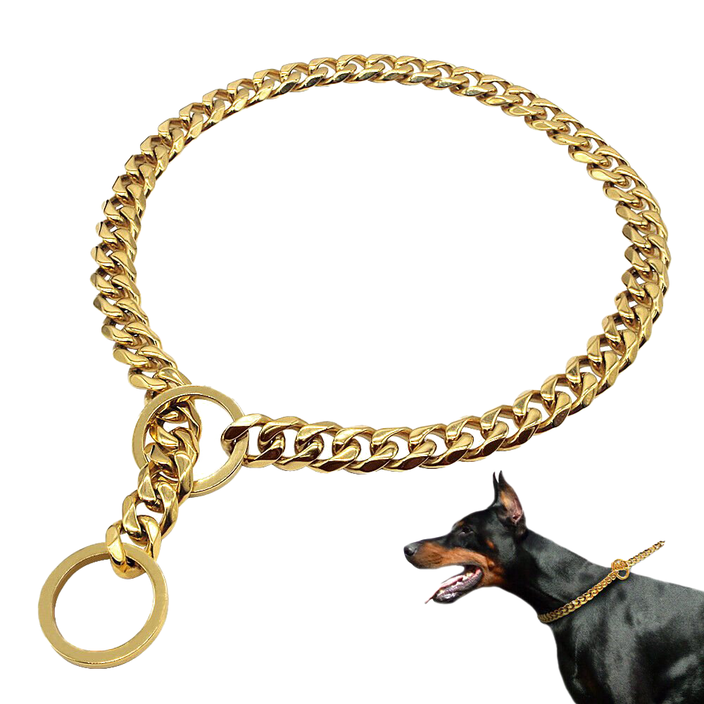 Detail Dog Chain Png Nomer 11