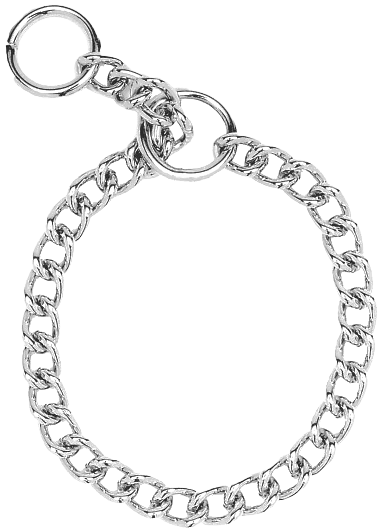 Detail Dog Chain Png Nomer 3