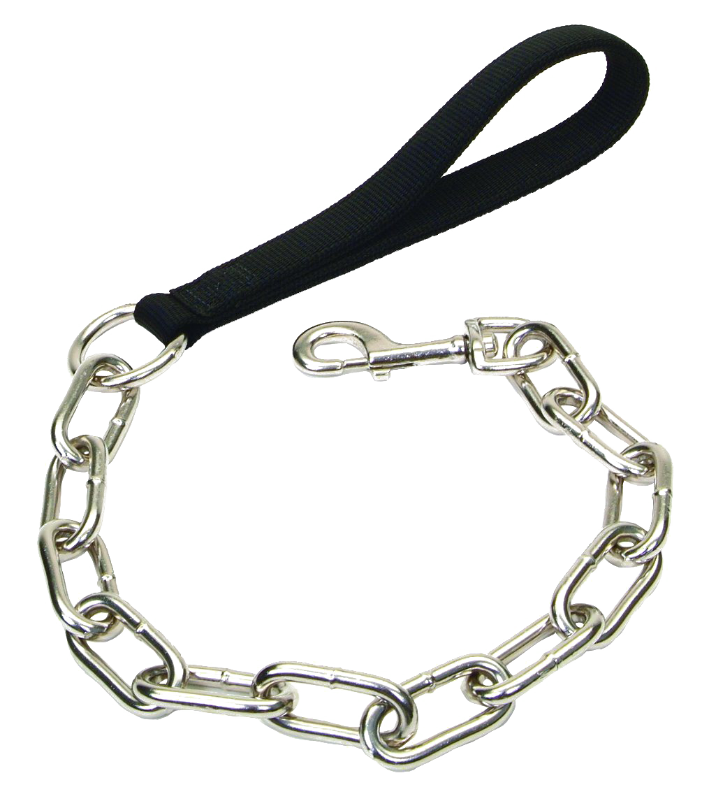 Detail Dog Chain Png Nomer 4