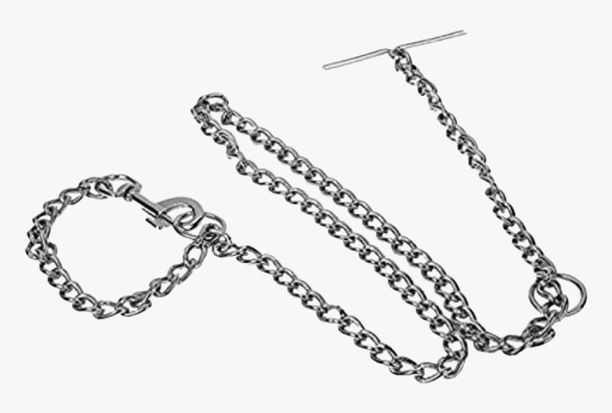 Detail Dog Chain Png Nomer 5