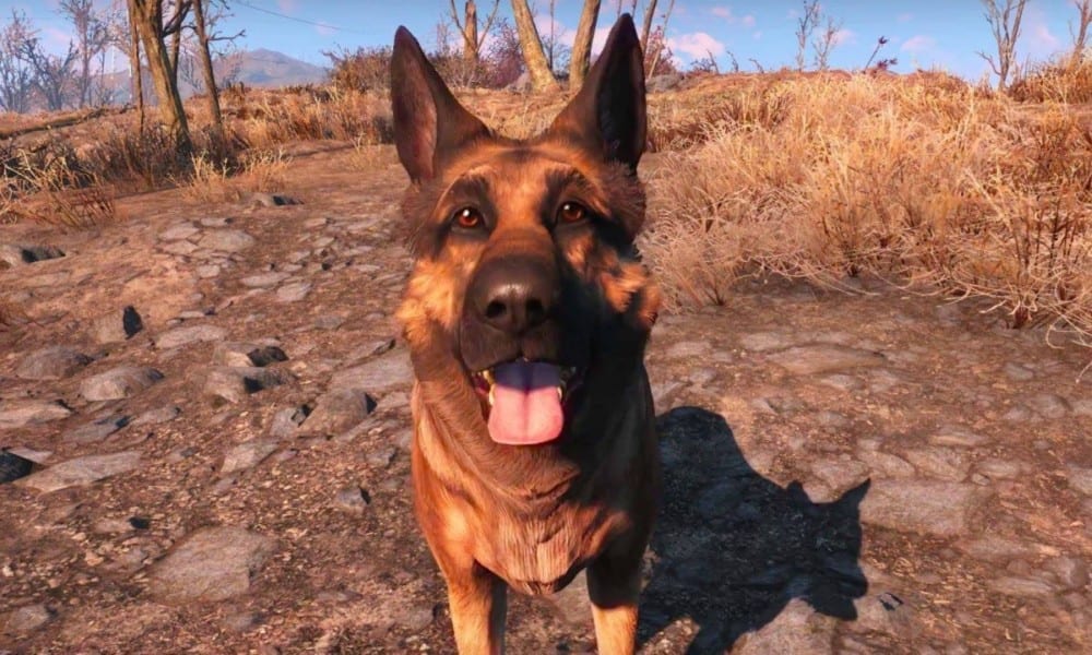 Detail Dog Collar Fallout 4 Nomer 26