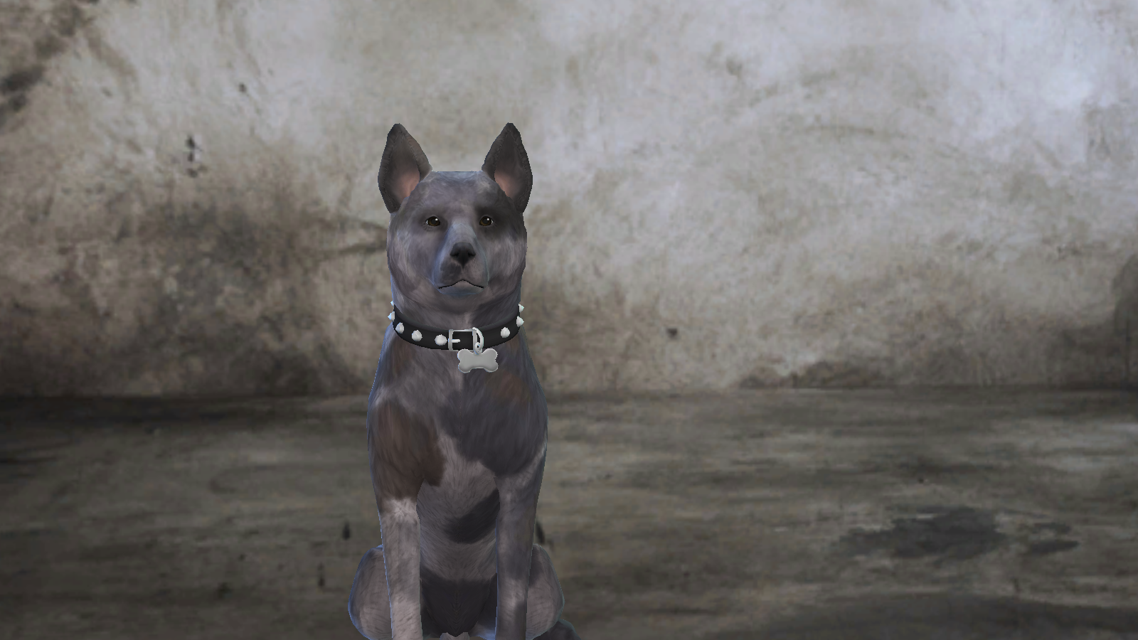 Detail Dog Collar Fallout 4 Nomer 29