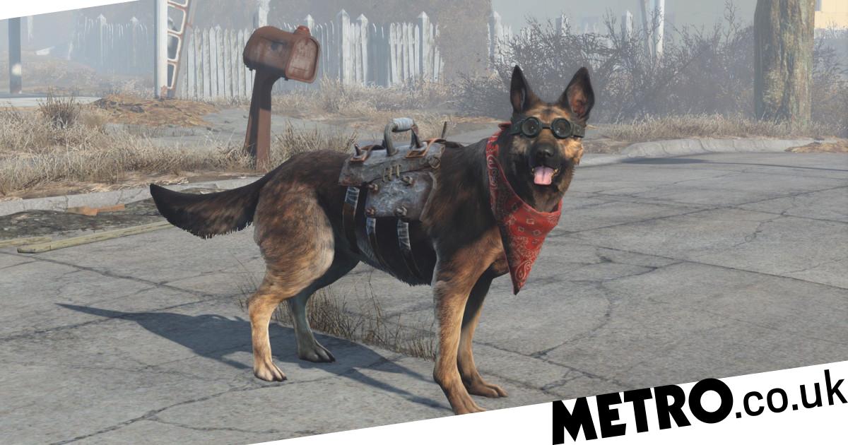 Detail Dog Collar Fallout 4 Nomer 33