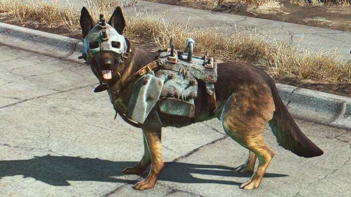 Detail Dog Collar Fallout 4 Nomer 41