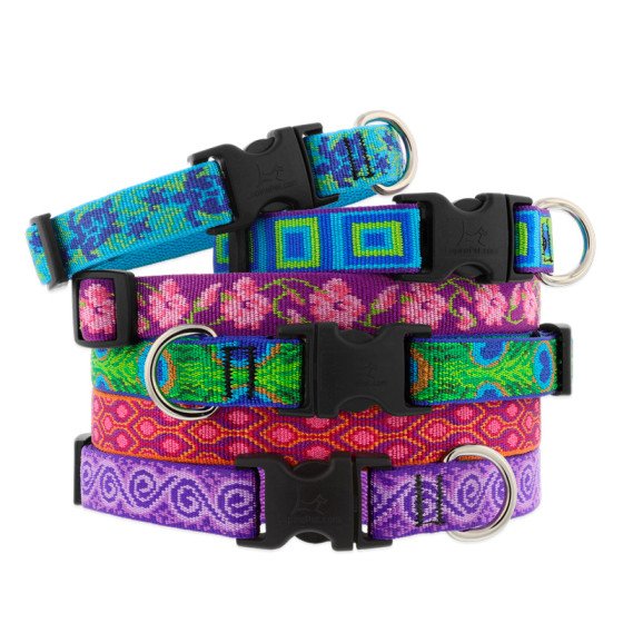 Detail Dog Collar Image Nomer 25