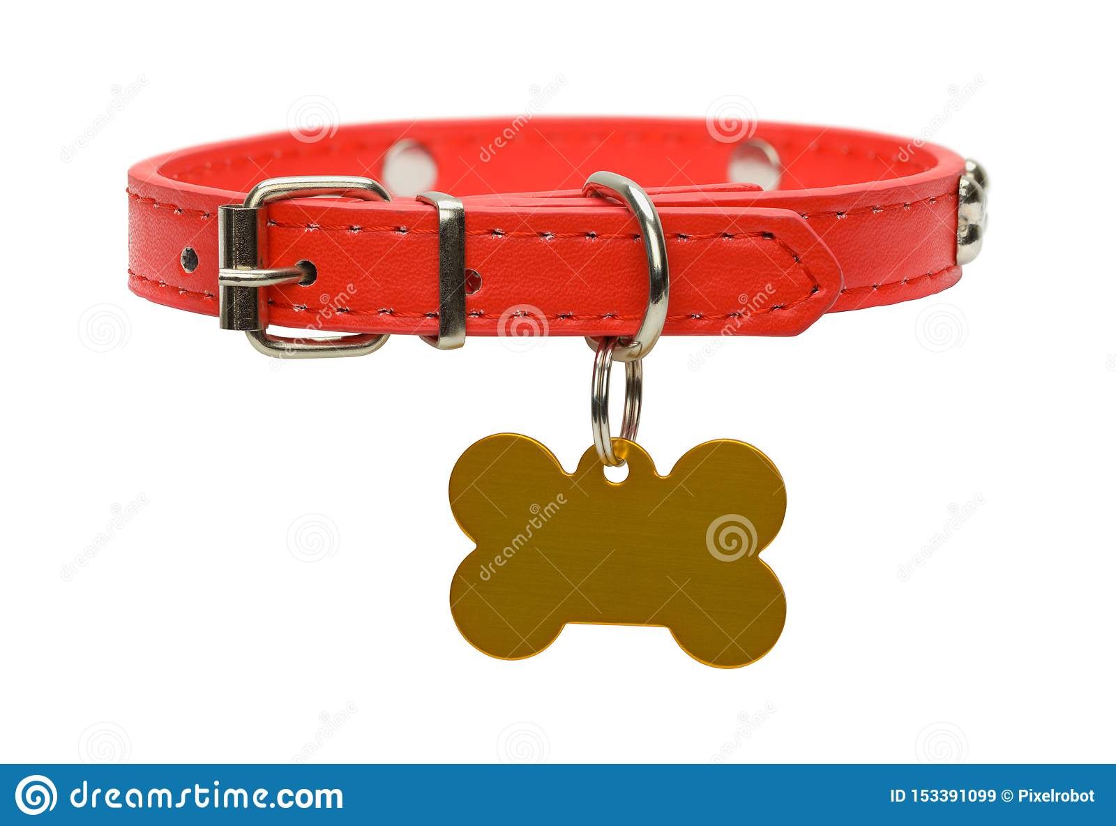 Detail Dog Collar Images Nomer 18