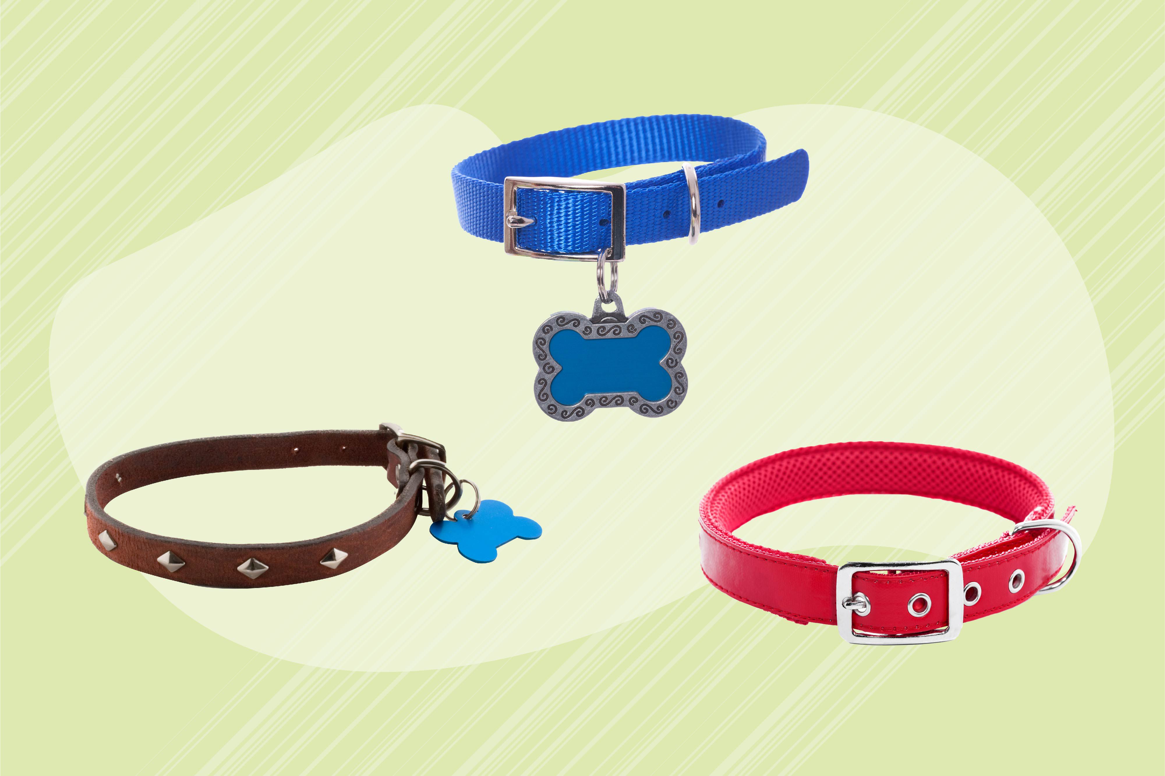 Detail Dog Collar Images Nomer 20