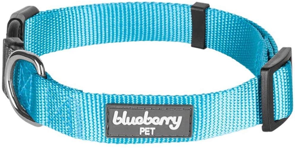 Detail Dog Collar Picture Nomer 13