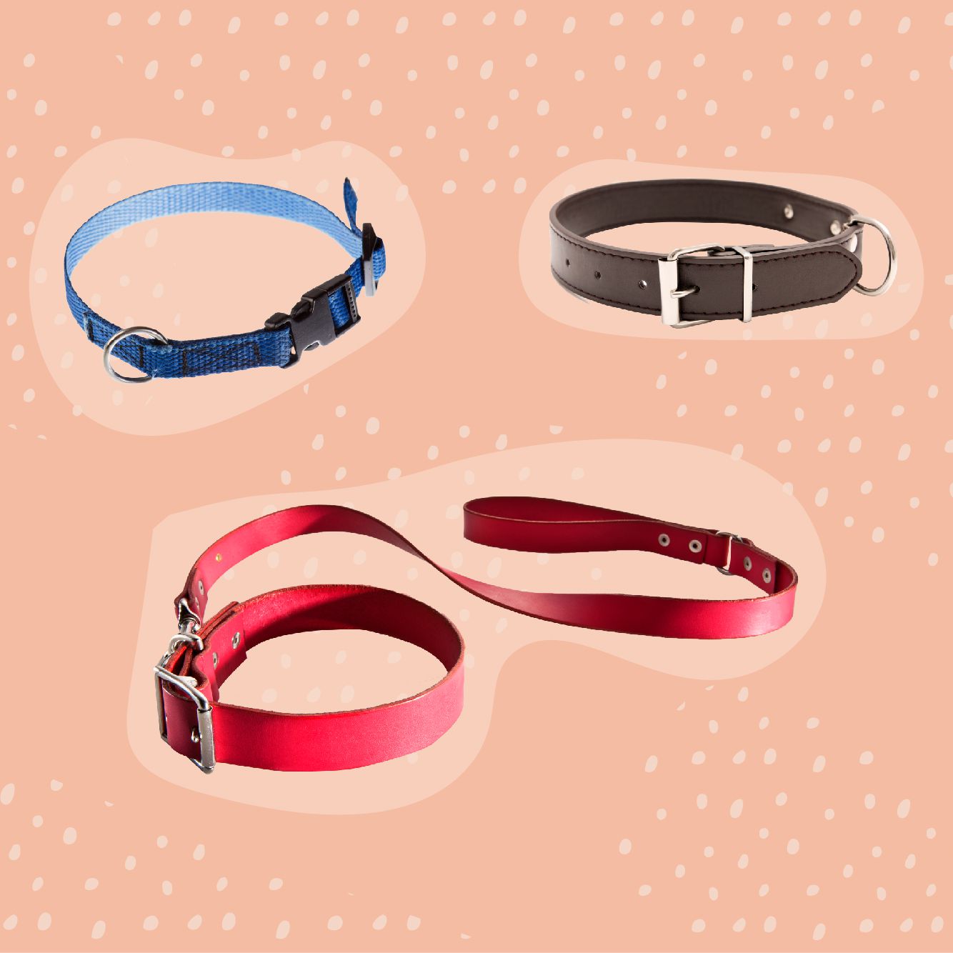 Detail Dog Collar Picture Nomer 29