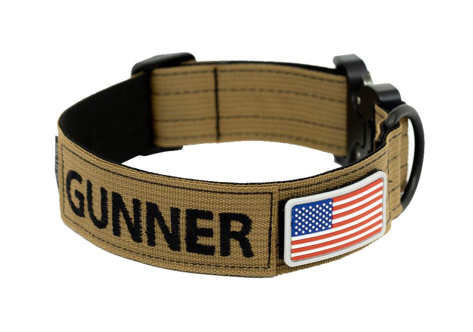 Detail Dog Collar Picture Nomer 6