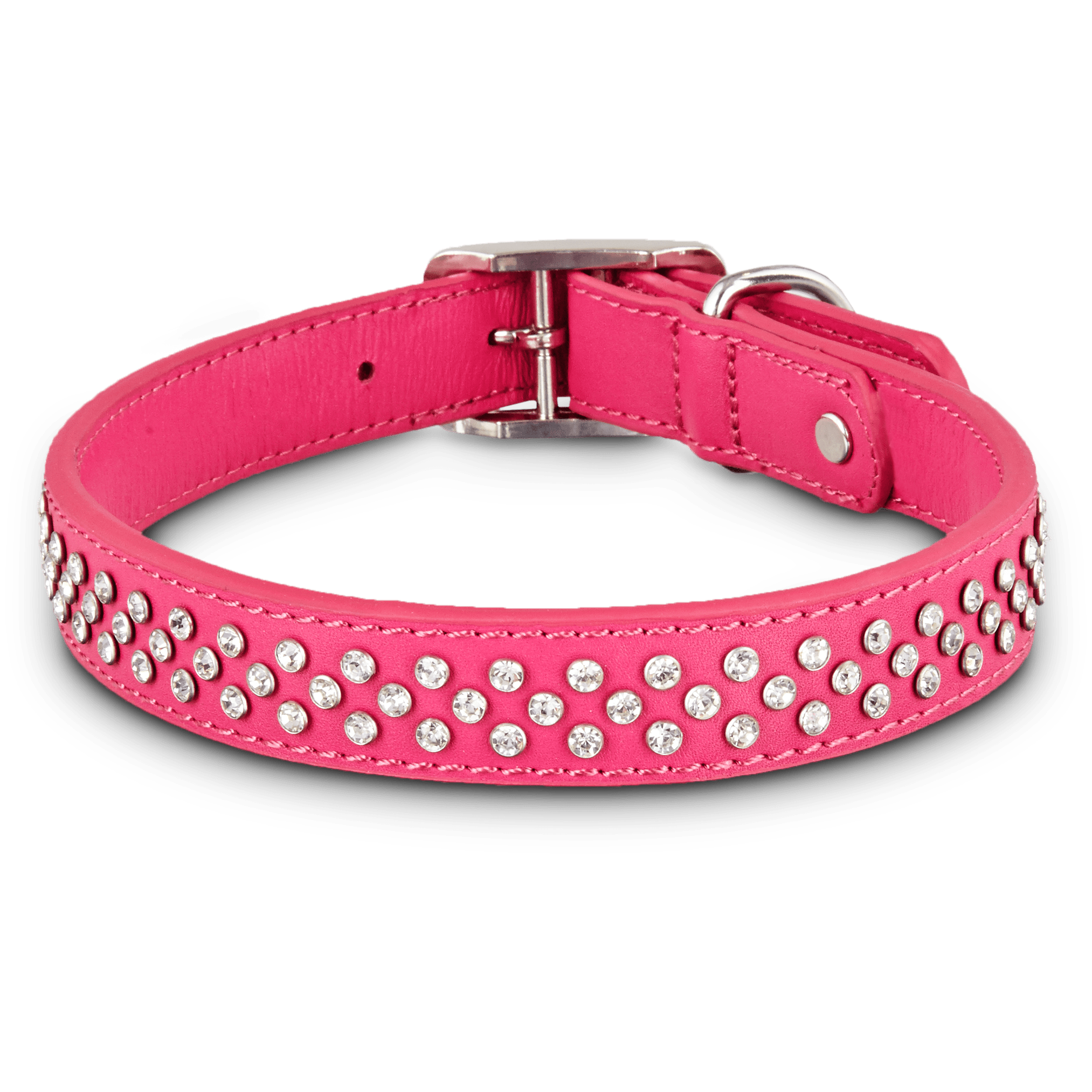 Dog Collar Transparent - KibrisPDR