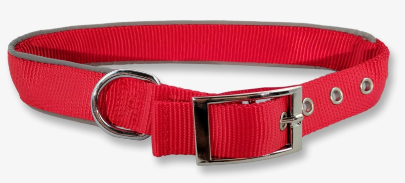 Detail Dog Collar Transparent Nomer 9