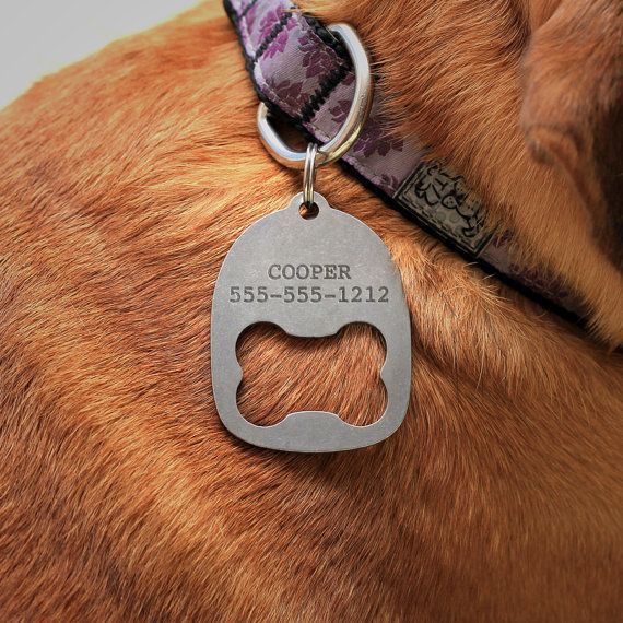 Detail Dog Collar With Bottle Opener Nomer 12