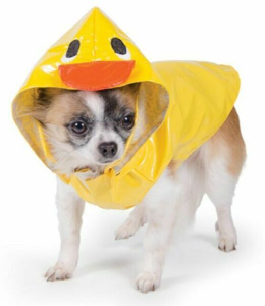 Detail Dog Duck Raincoat Nomer 9