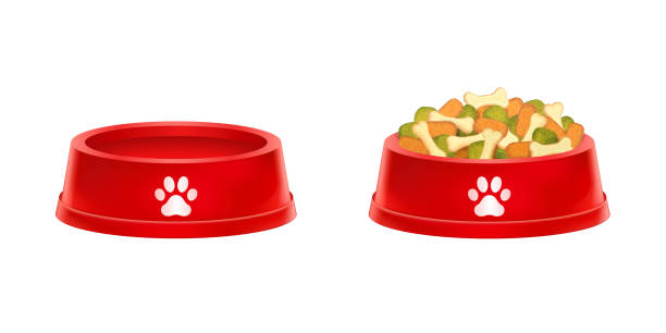 Detail Dog Food Bowl Clipart Nomer 27