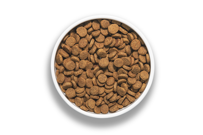 Detail Dog Food Images Nomer 5