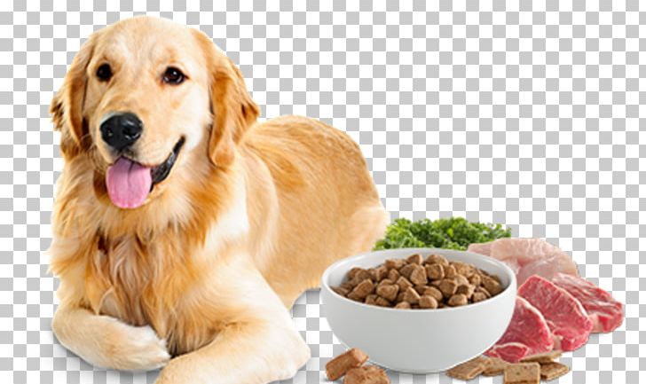 Detail Dog Food Png Nomer 42