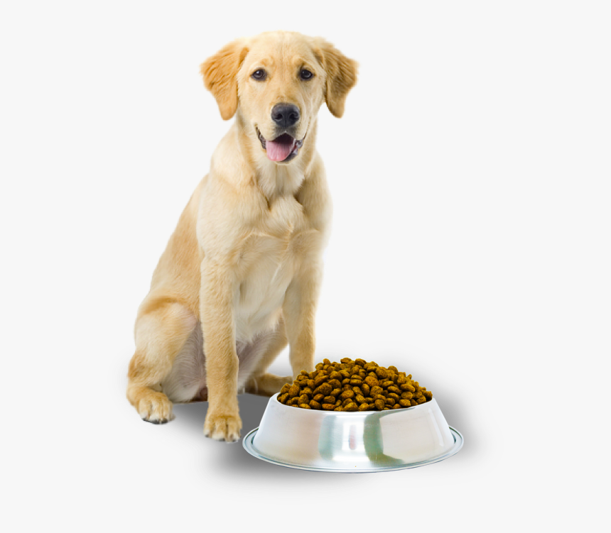 Detail Dog Food Transparent Nomer 35
