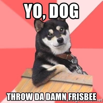 Detail Dog Frisbee Meme Nomer 41