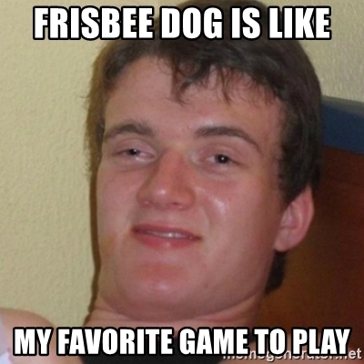 Detail Dog Frisbee Meme Nomer 53