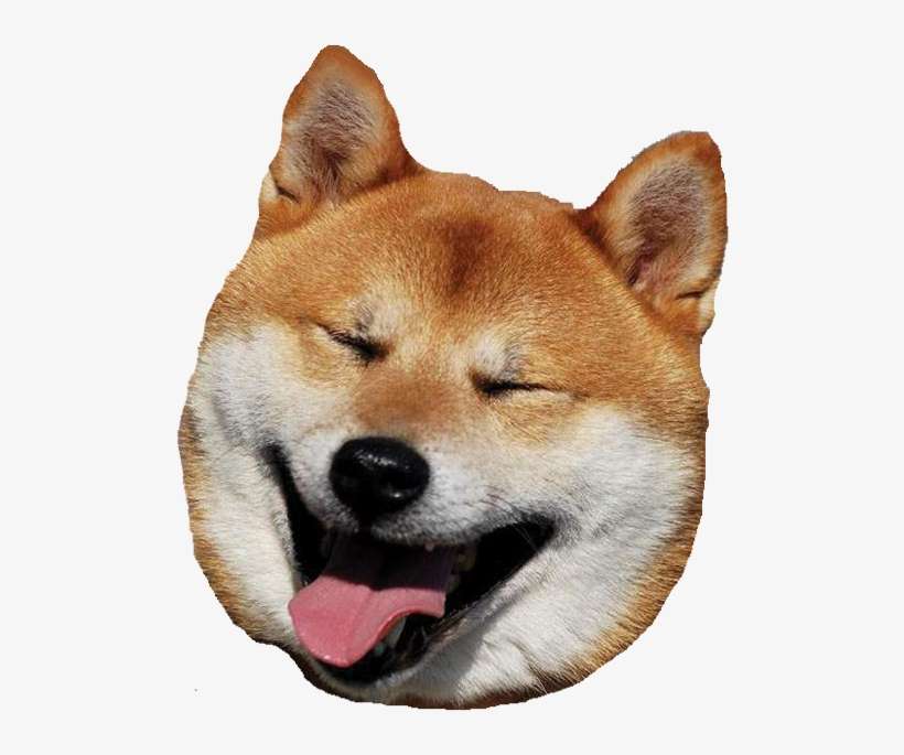 Dog Head Transparent - KibrisPDR