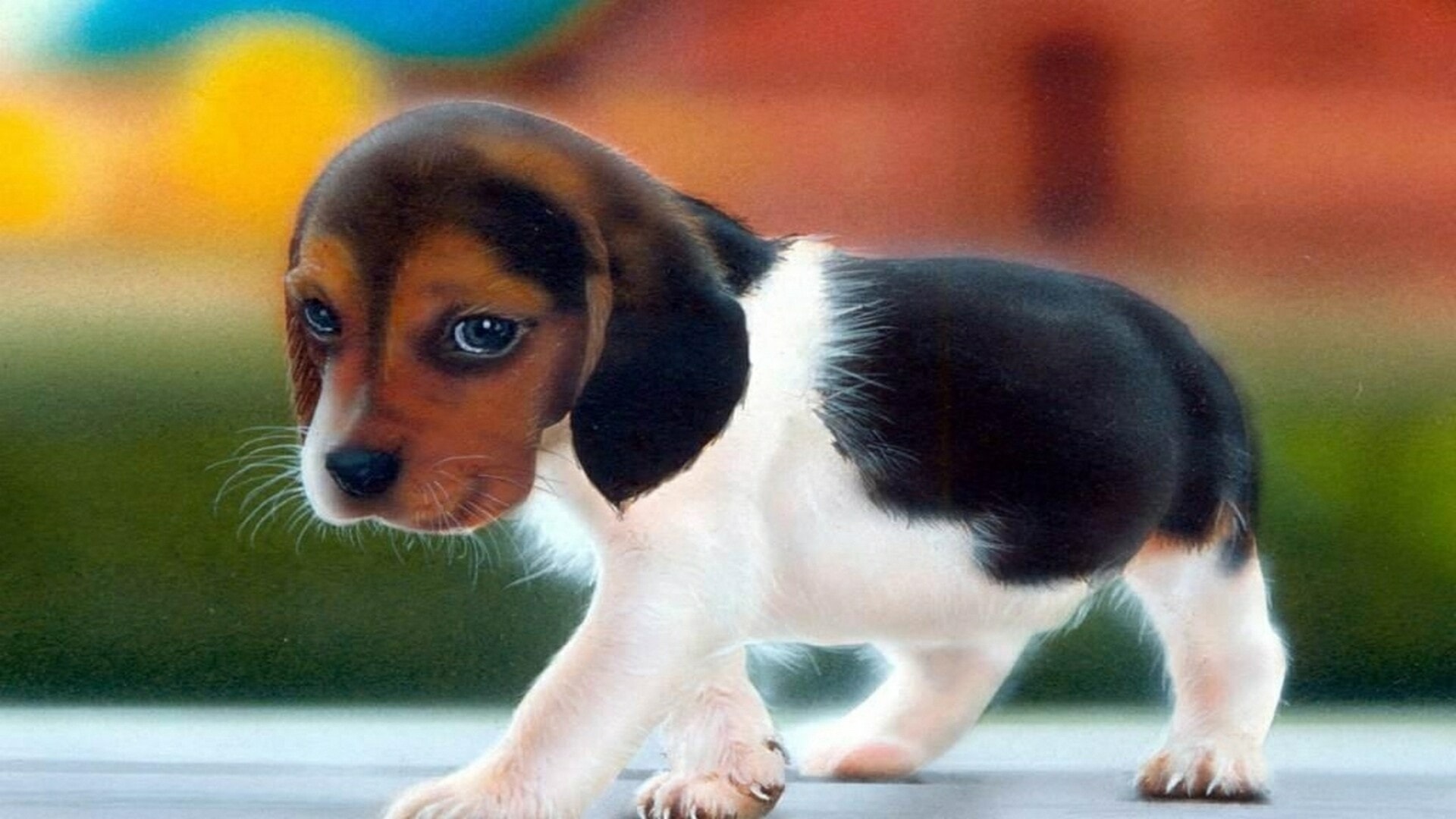 Detail Dog Images Download Nomer 23