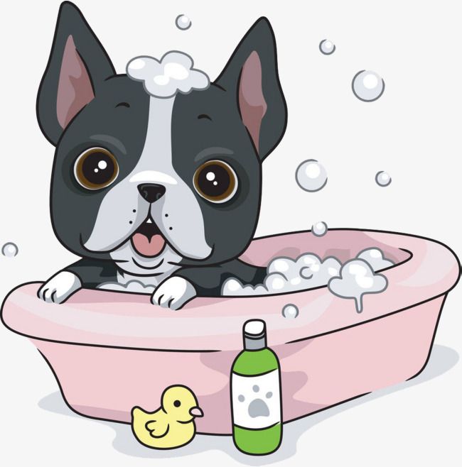Detail Dog In Bathtub Clipart Nomer 18