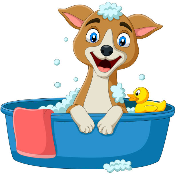Detail Dog In Bathtub Clipart Nomer 32