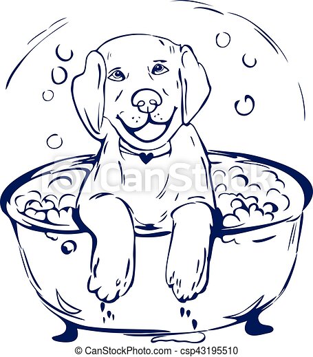 Detail Dog In Bathtub Clipart Nomer 43