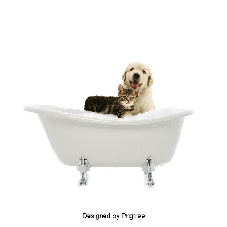 Detail Dog In Bathtub Clipart Nomer 53