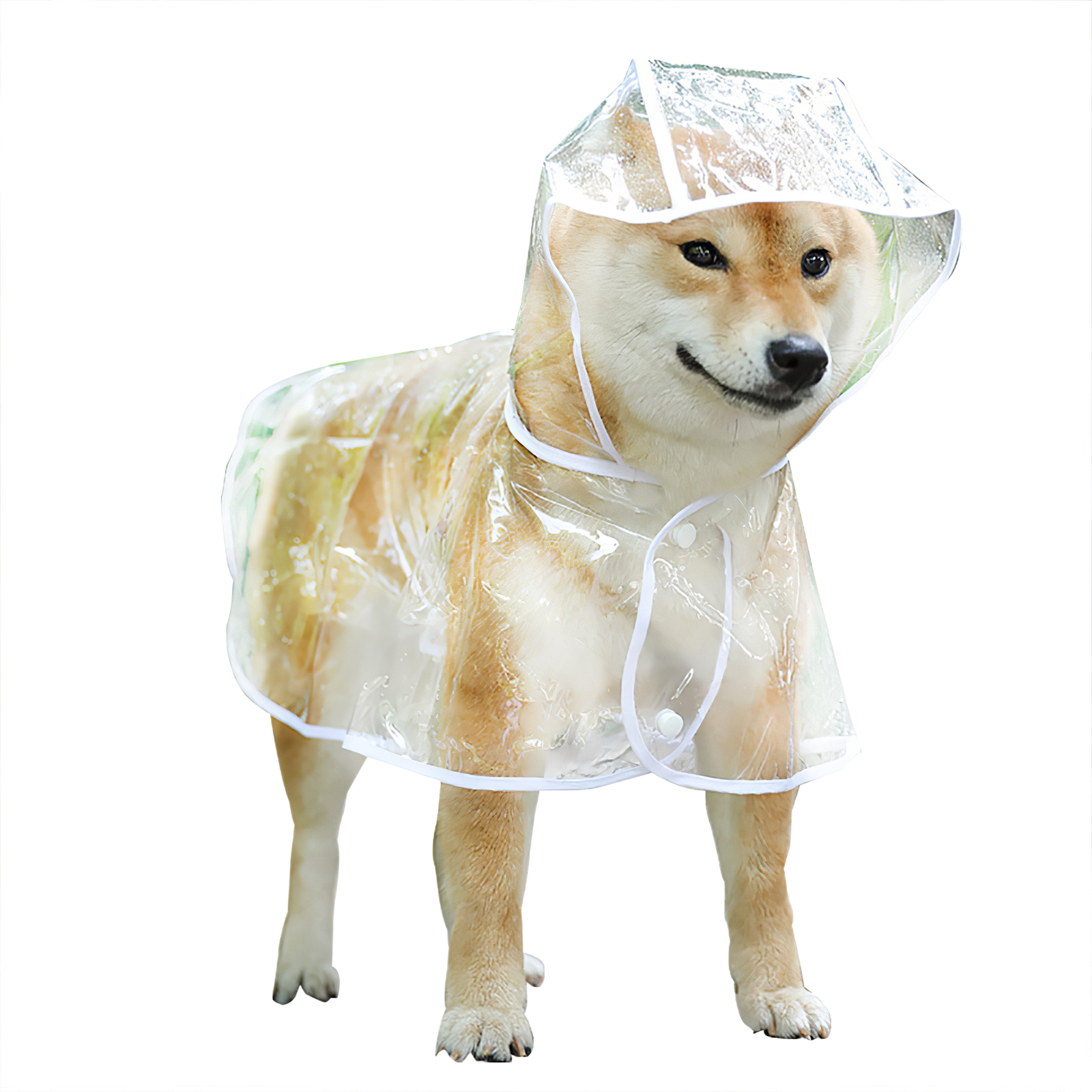 Detail Dog In Raincoat Meme Nomer 25