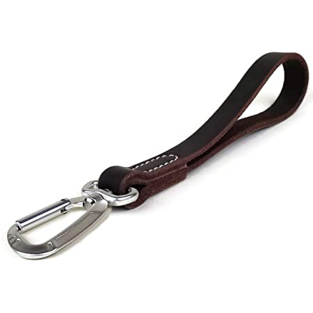 Detail Dog Leash With Carabiner Clip Nomer 20