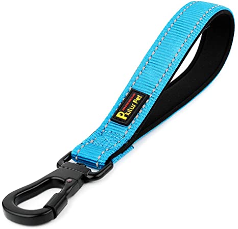Detail Dog Leash With Carabiner Clip Nomer 21