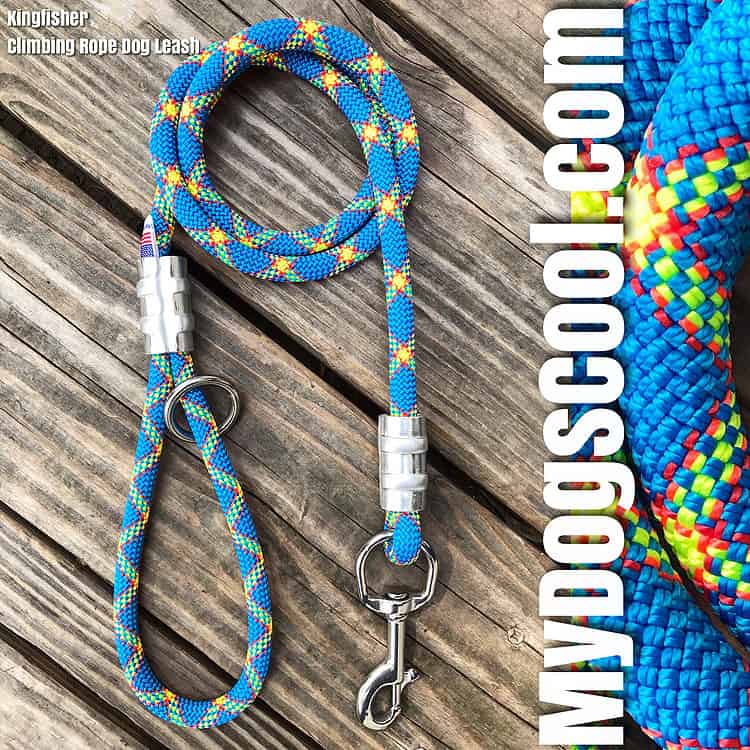 Detail Dog Leash With Carabiner Clip Nomer 53