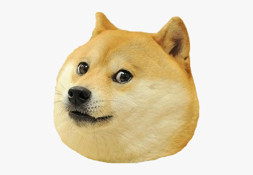 Detail Dog Meme Png Nomer 6