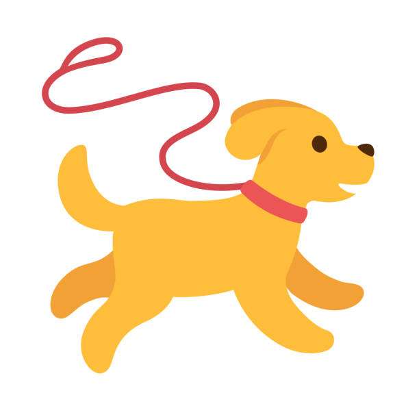 Dog On A Leash Clipart - KibrisPDR