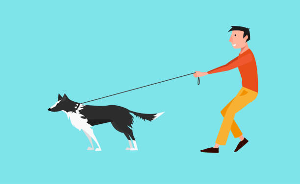 Detail Dog On A Leash Clipart Nomer 46