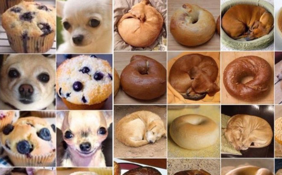 Detail Dog Or Bagel Meme Nomer 48