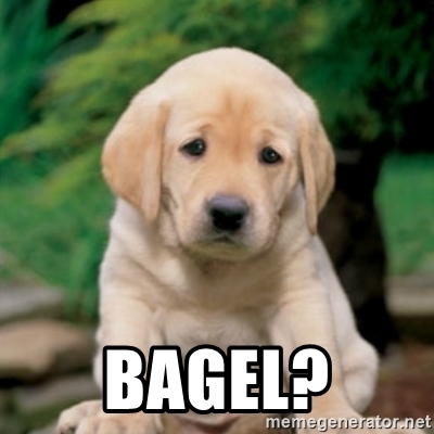 Detail Dog Or Bagel Meme Nomer 55