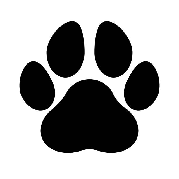 Dog Paw Images Free - KibrisPDR