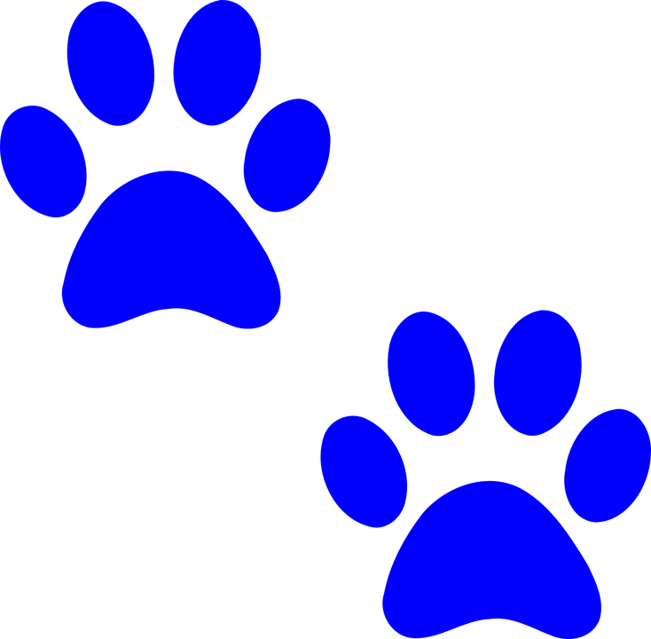 Detail Dog Paw Images Free Nomer 33