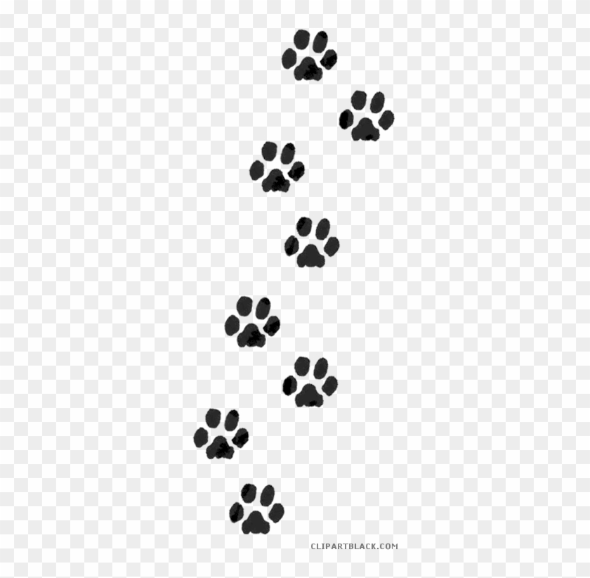 Detail Dog Paw Images Free Nomer 38