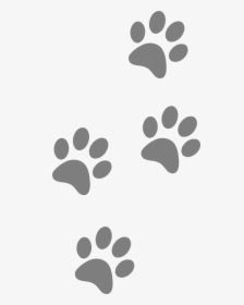 Detail Dog Paw Images Free Download Nomer 11