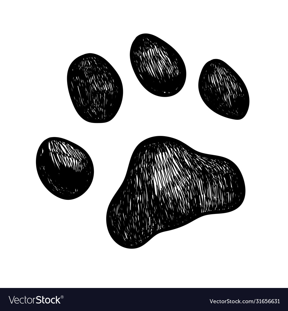 Detail Dog Paw Vector Nomer 20