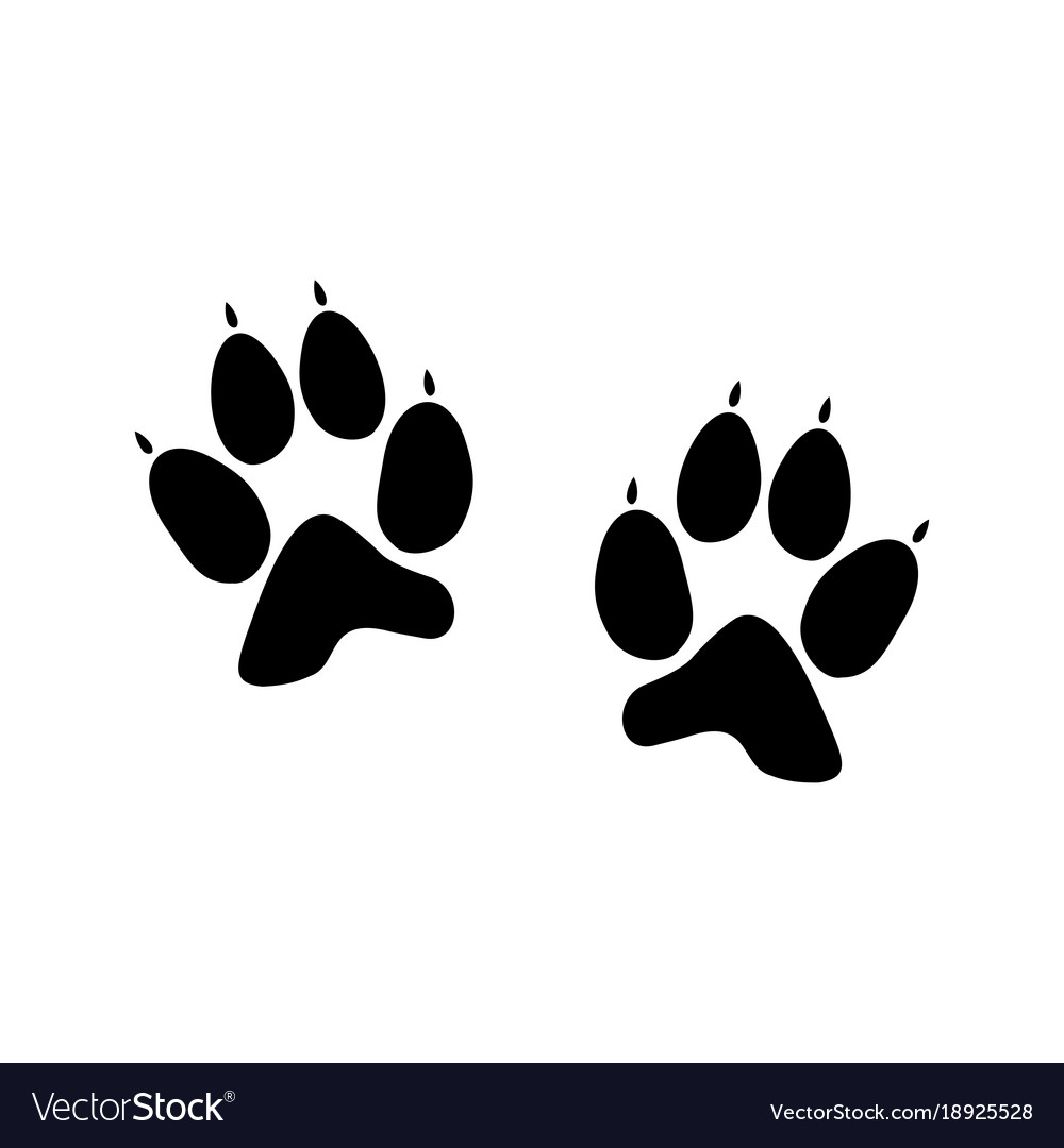 Detail Dog Paw Vector Nomer 5