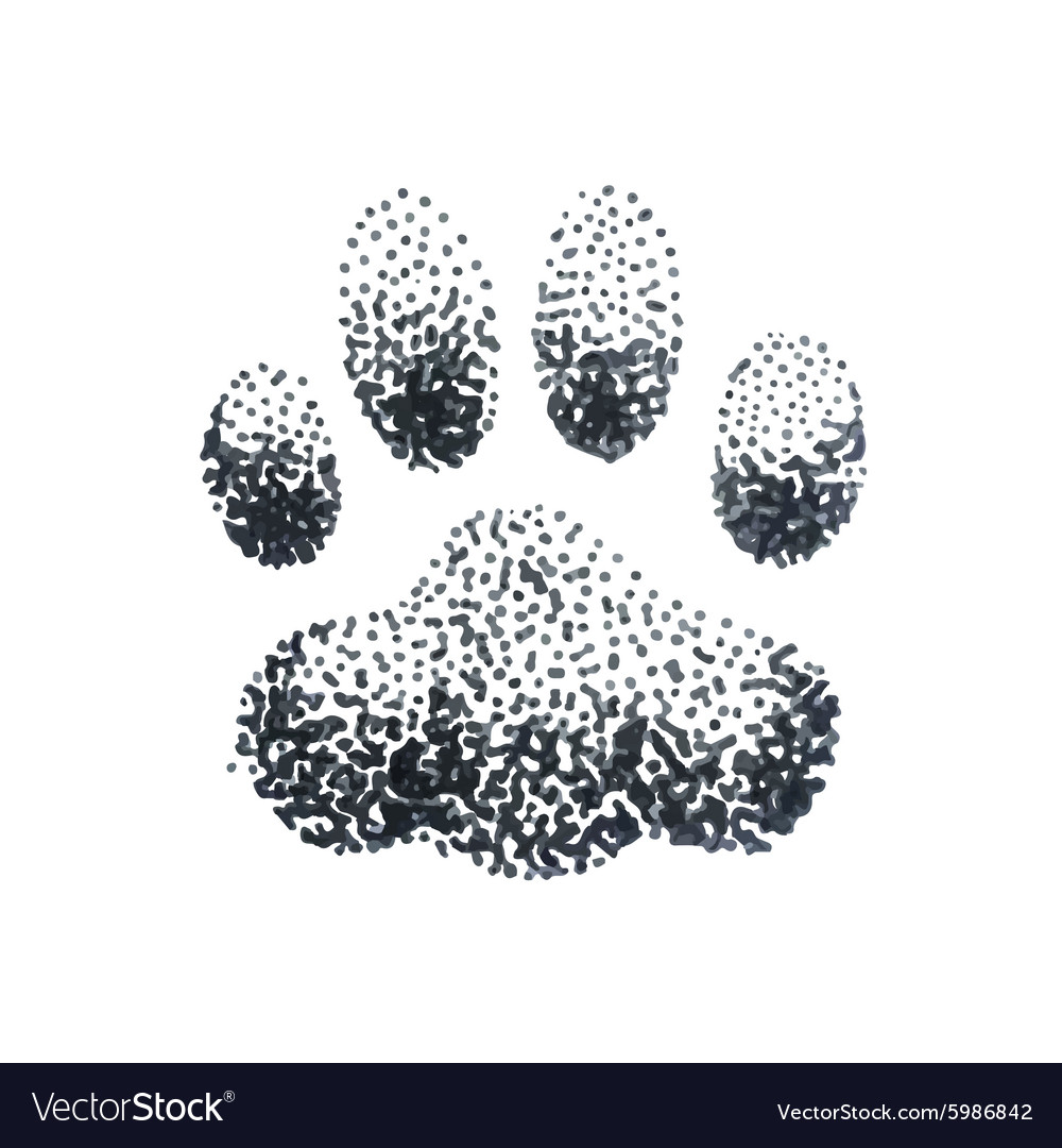 Detail Dog Paw Vector Nomer 46