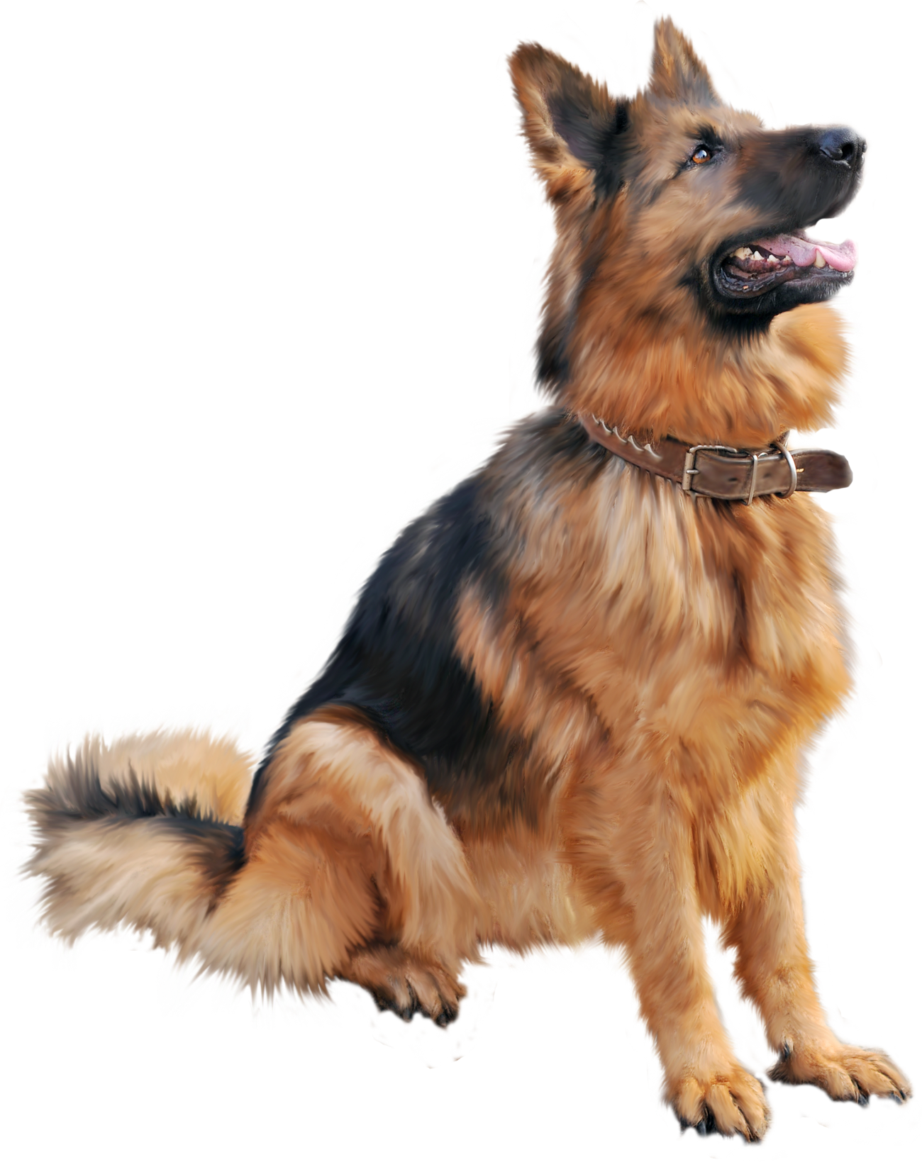 Detail Dog Png Images Nomer 43