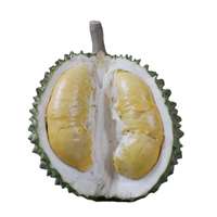 Detail Durian Montong Thailand Nomer 16