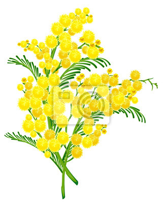 Detail Gelbe Runde Blume Nomer 16