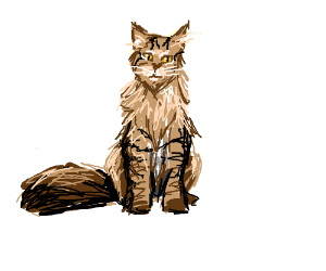 Detail Maine Coon Teenager Nomer 4